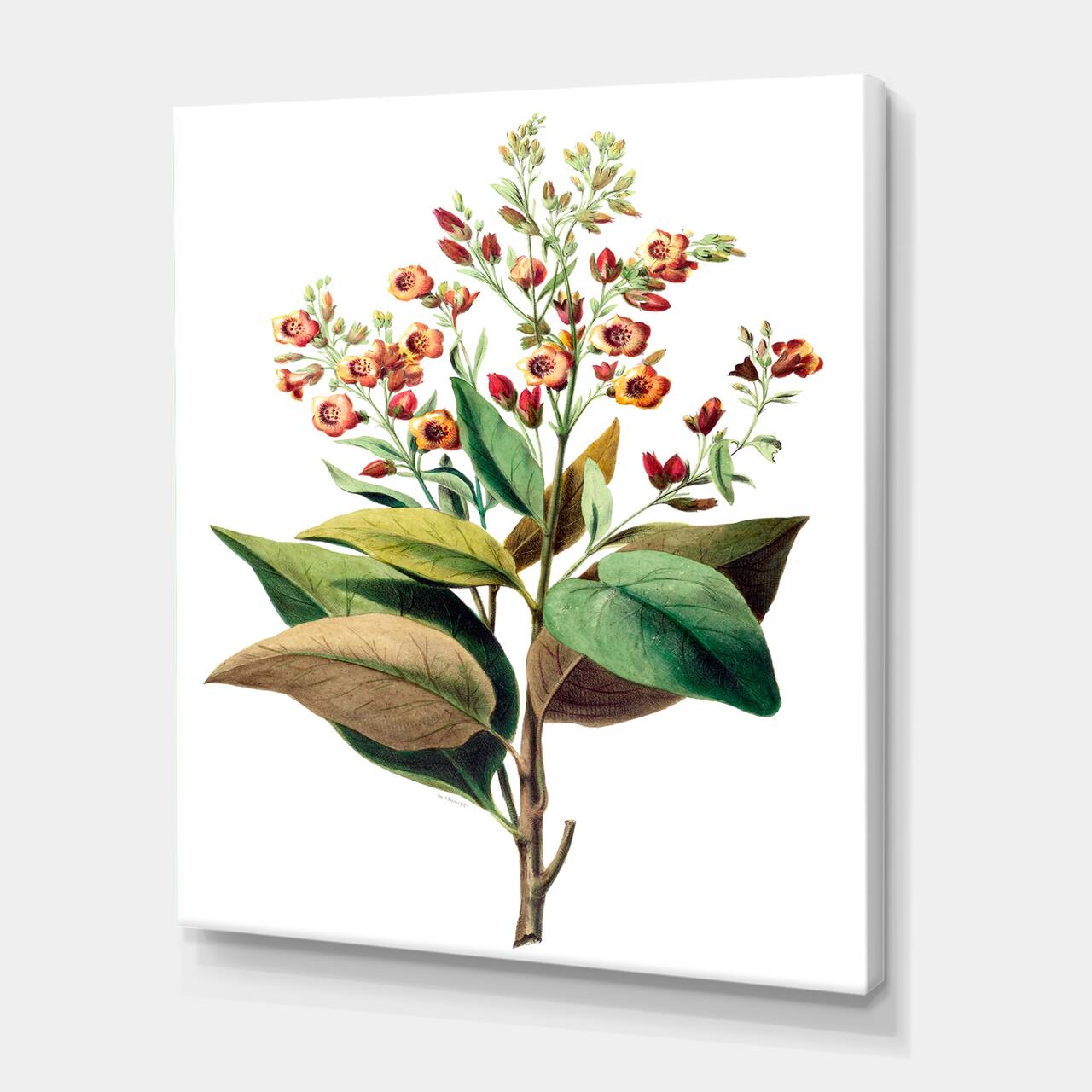 Designart - Vintage American Flowers II - Traditional Canvas Wall Art Print